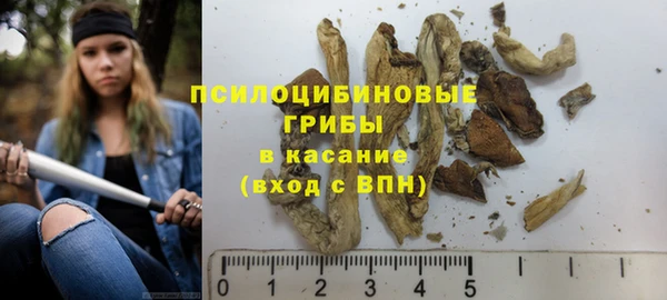 соль ск Аркадак