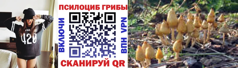 ссылка на мегу ONION Оленегорск Галлюциногенные грибы Cubensis цены наркотик
